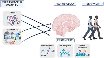 Editorial: Genetic and Epigenetic Mechanisms Underpinning Vulnerability to Developing Psychiatric Disorders